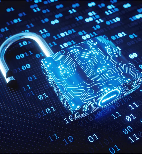 Security and Privacy